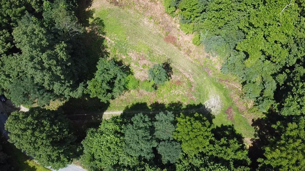 Cleared and Potential Homesite Drone View 2